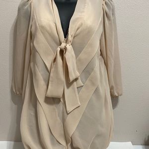 Max studios sheer nude blouse